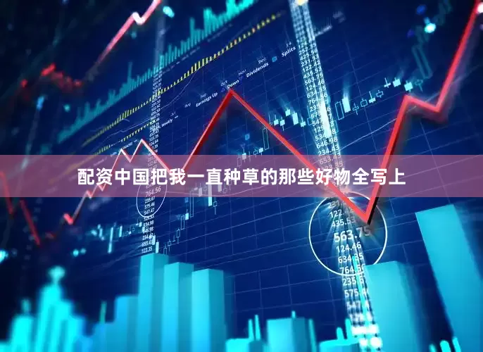 配资中国把我一直种草的那些好物全写上