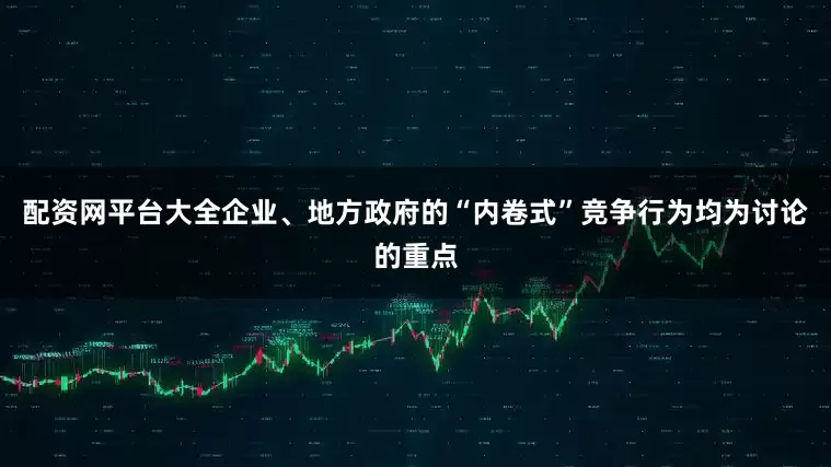 配资网平台大全企业、地方政府的“内卷式”竞争行为均为讨论的重点