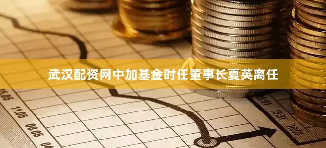 武汉配资网中加基金时任董事长夏英离任