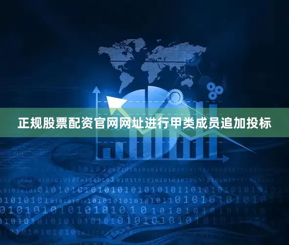 正规股票配资官网网址进行甲类成员追加投标